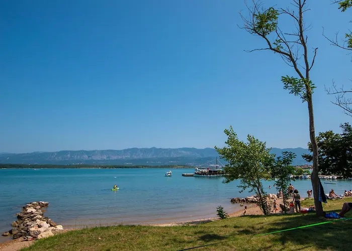 Lägenhet Tamaris A In Strandnaehe By Interhome Čižići