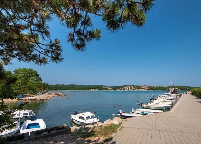 Tamaris A In Strandnaehe By Interhome * Čižići